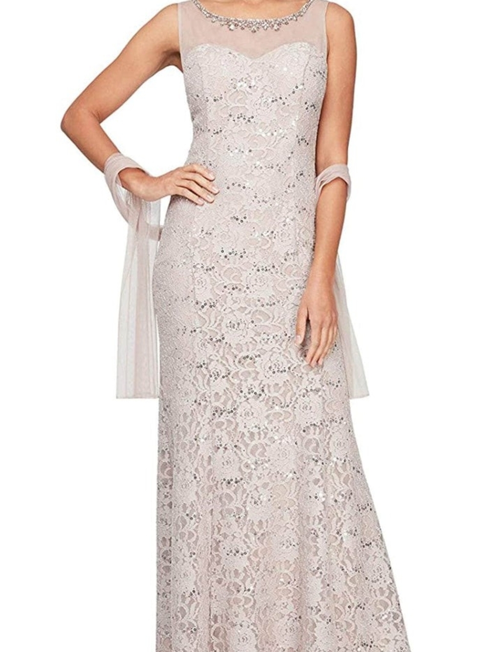 Alex Evenings Lace Maxi Gown in Blush